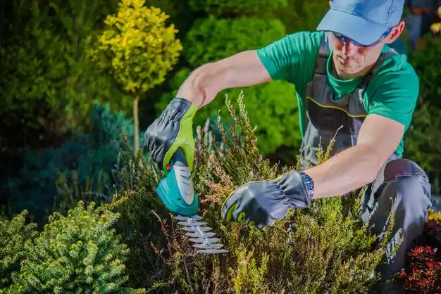landscaping services Delshire